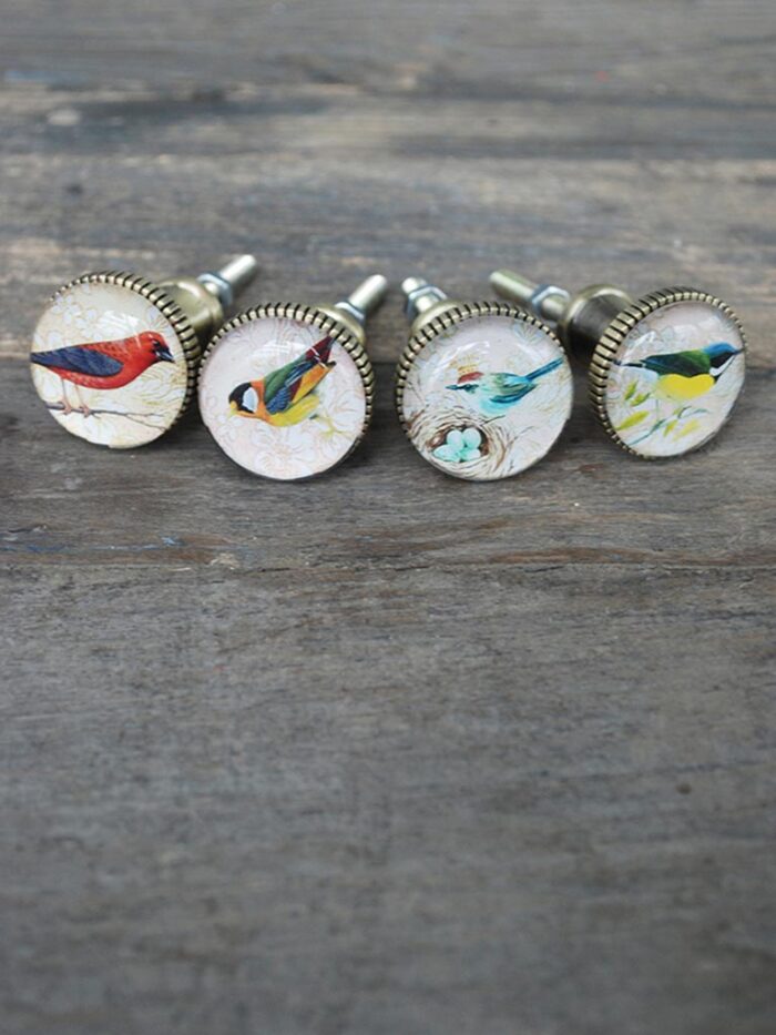 Set de 4 boutons de porte Oiseau