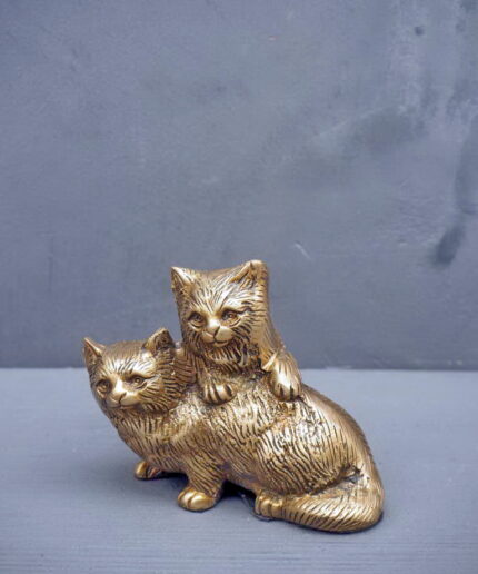 cat-to-pose-brass-chehoma-23692.jpg