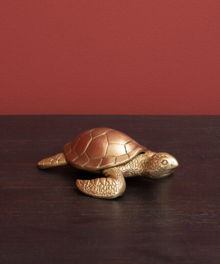 kleine-gouden-doos-schildpad-chehoma-32547