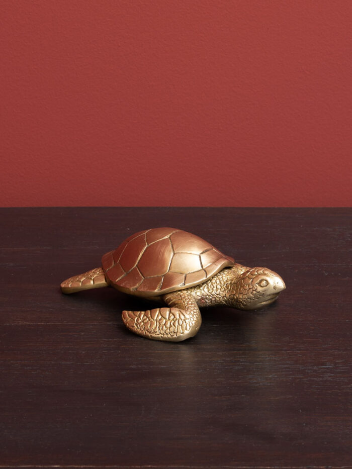 petit-boite-dore-tortue-chehoma-32547