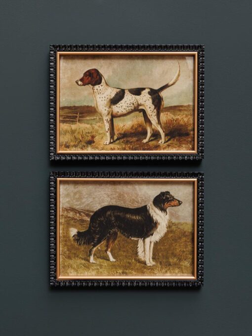 set-de-2-cadres-chiens-de-chasse-chehoma-40837.jpg