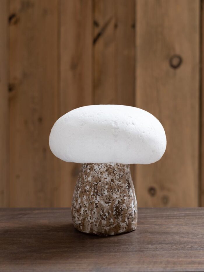 Lampe-champignon-guirlande-chehoma-33656-01