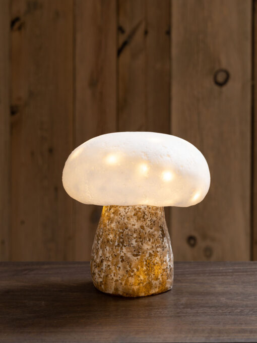 Lampe-champignon-guirlande-chehoma-33656