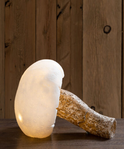 lampe-a-poser-champignon-allonge-chehoma-33655.jpg