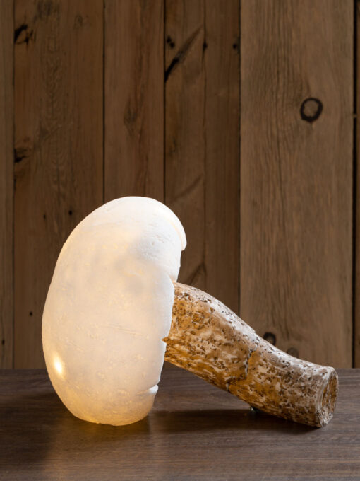 lampe-a-poser-champignon-allonge-chehoma-33655.jpg