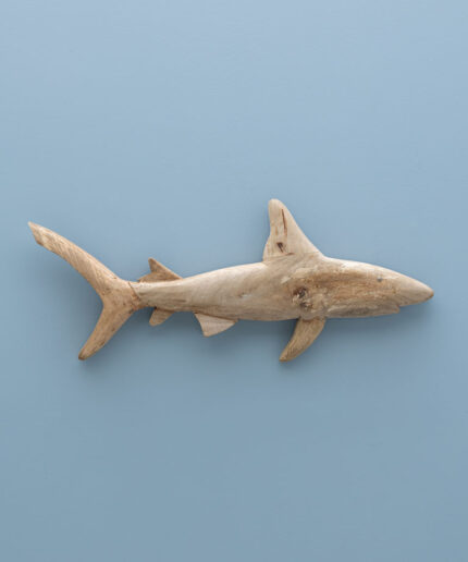 requin-mural-manguier-chehoma-33487.jpg