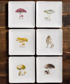 Set-6-plats-de-présentation-champignons-chehoma