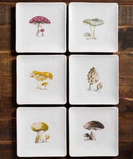 Set-6-plats-de-présentation-champignons-chehoma