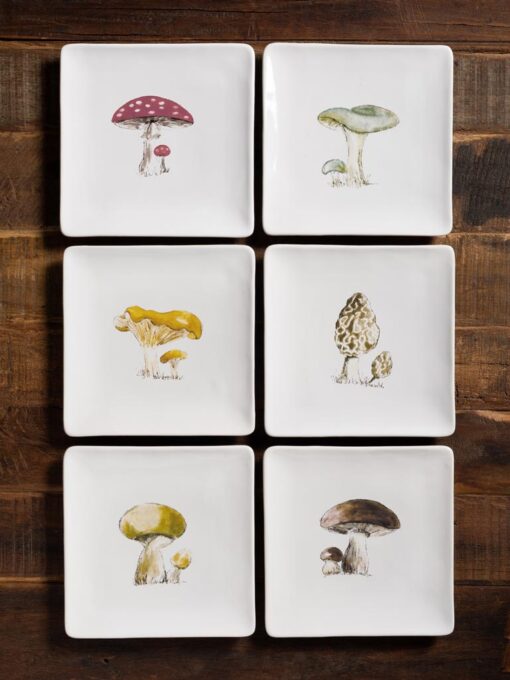 Set-6-plats-de-présentation-champignons-chehoma